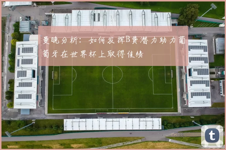 曼晚分析：如何发挥B费潜力助力葡萄牙在世界杯上取得佳绩