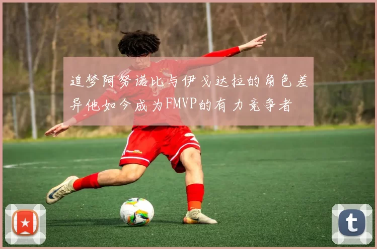 追梦阿努诺比与伊戈达拉的角色差异他如今成为FMVP的有力竞争者